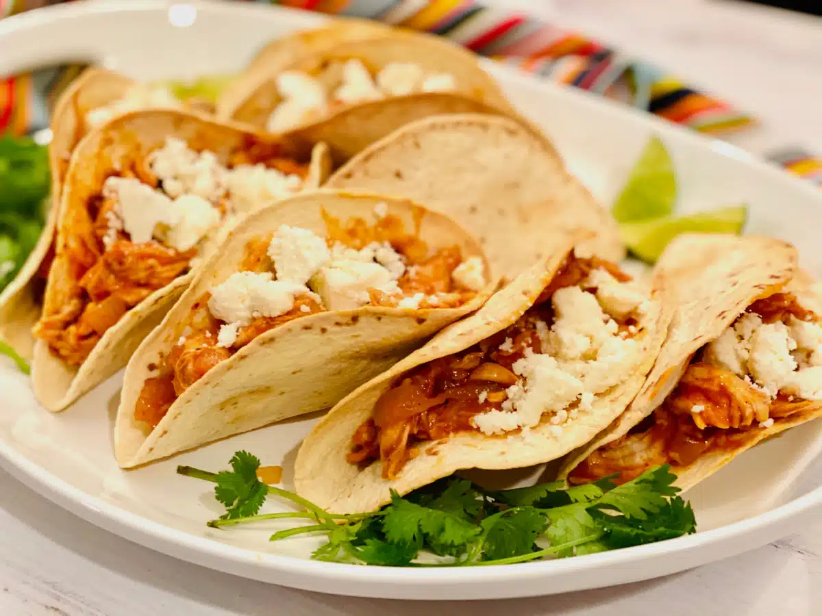 tacos with shredded chicken taco meat topped with cheese