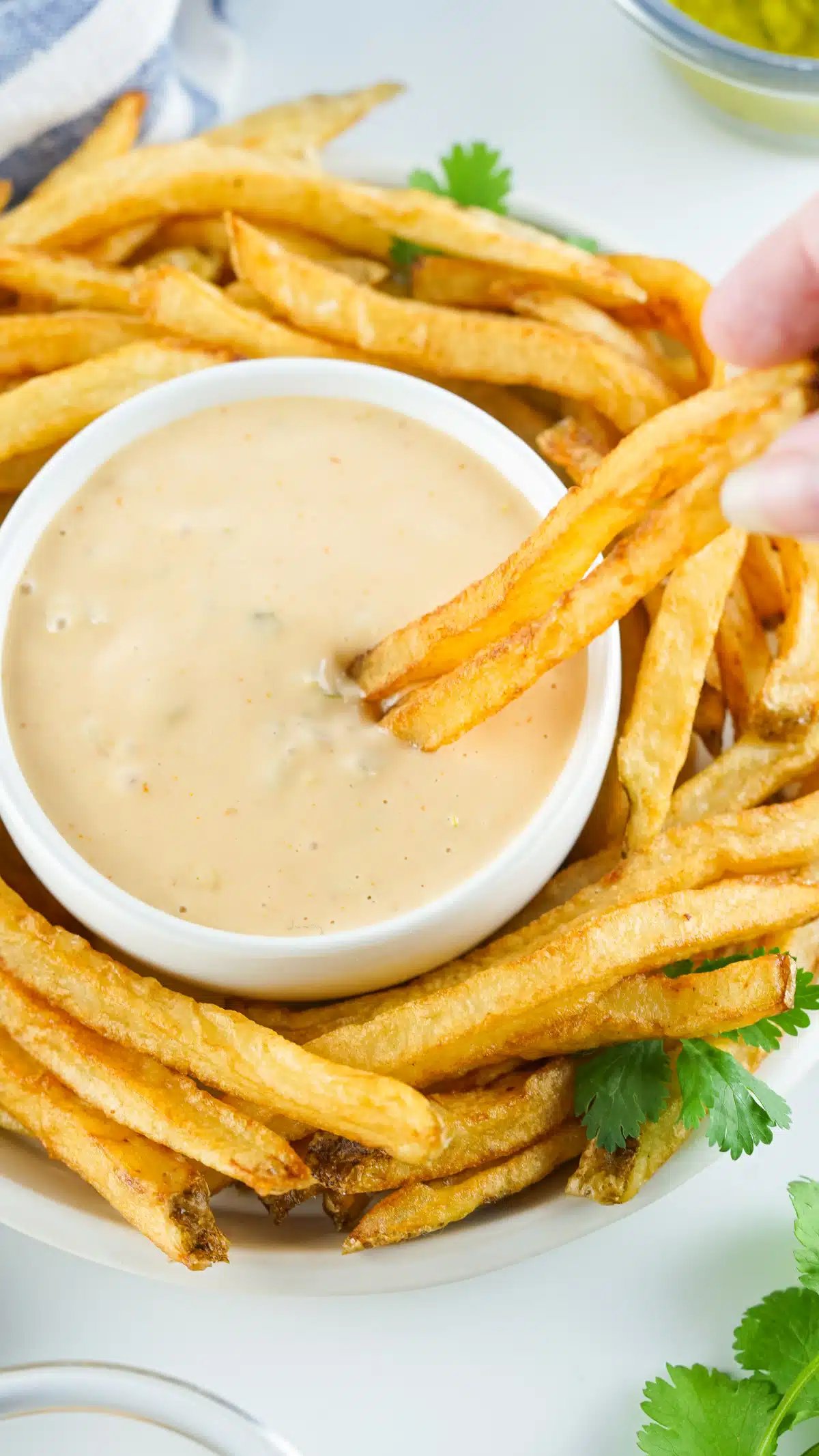 dipping french fries in copycat animal sauce