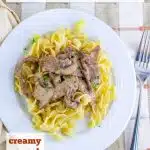 dish of beef stroganoff over noodles with txt overlay