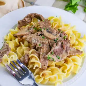 beef stroganoff with egg noodles on a white plate