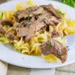 beef stroganoff ith noodles on a plate with a fork