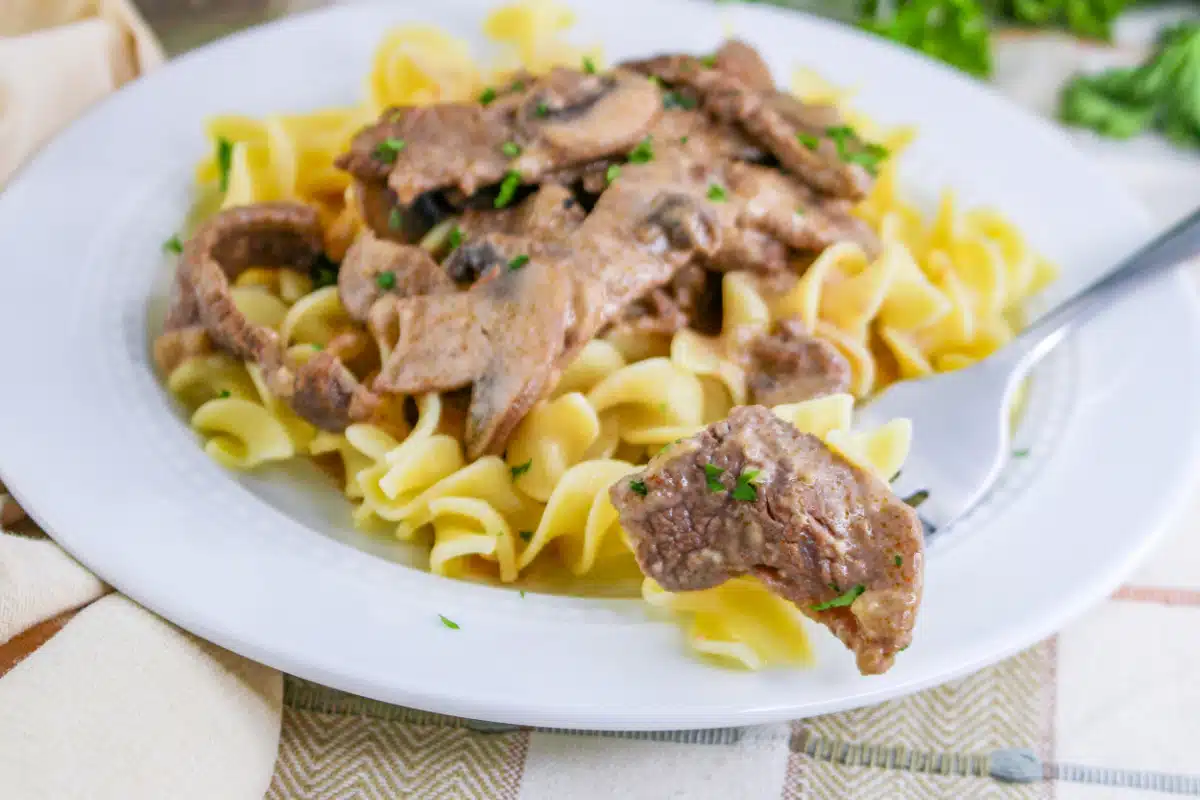 beef stroganoff ith noodles on a plate with a fork