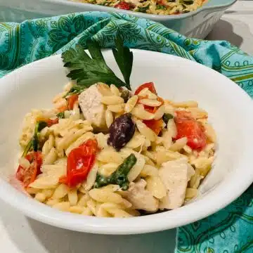 bowl of chicken and orzo casserole