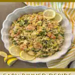 lemon chicken orzo pasta skillet dinner in a serving dish with text overlay