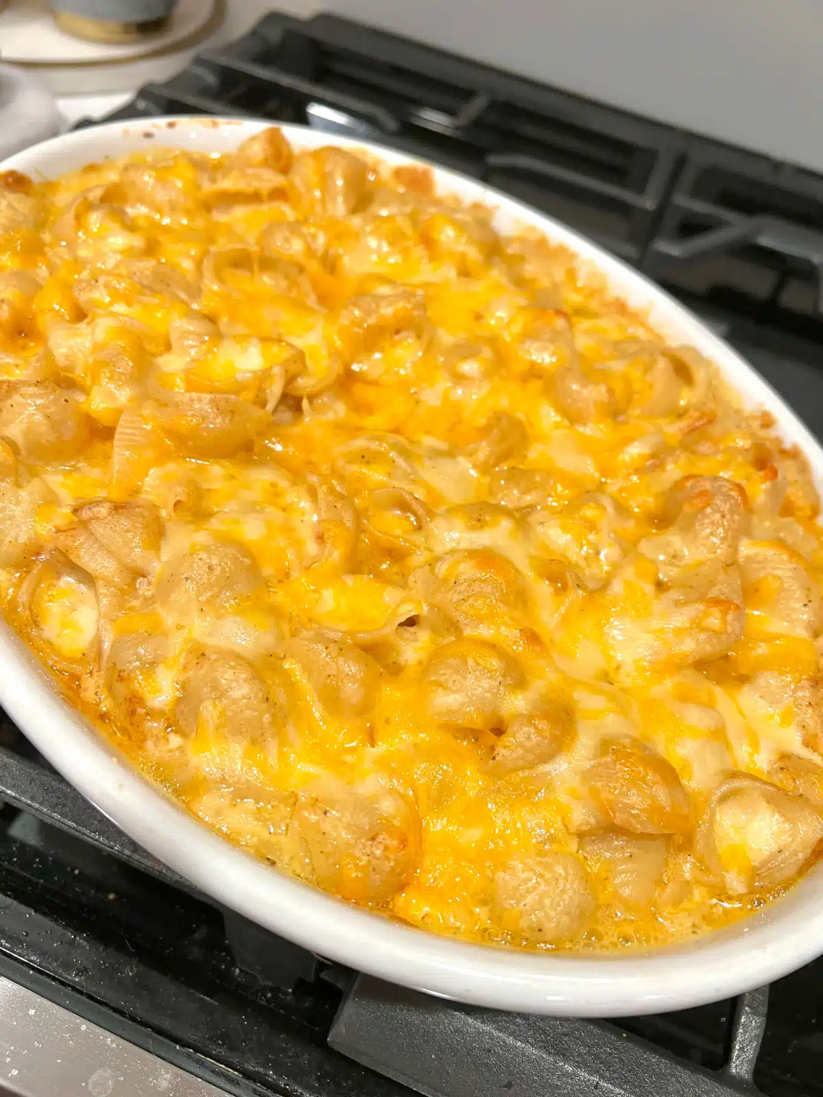 3 cheese mac and cheese made with shell pasta