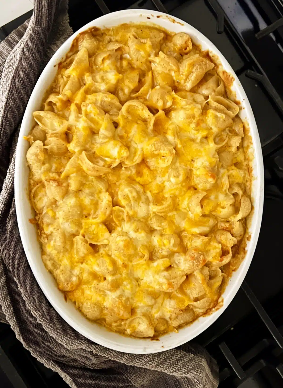 mac and cheese made with shell pasta in an oval casserole dish