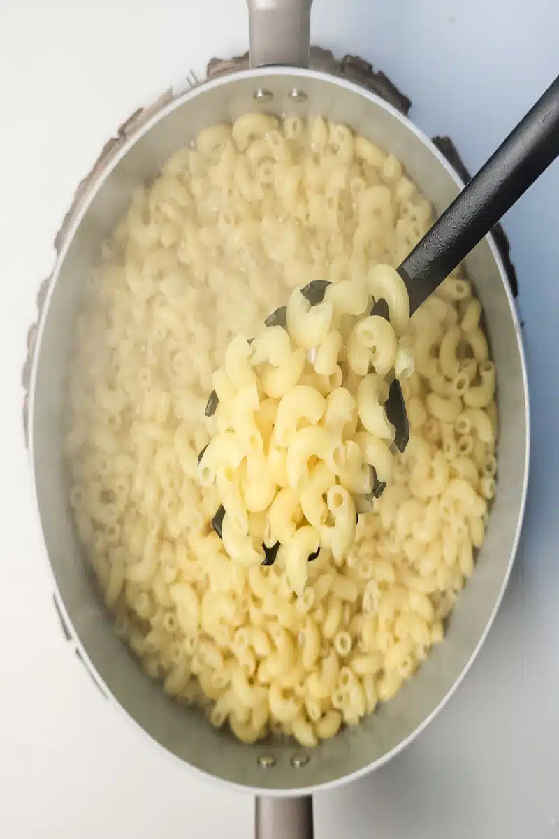 cooking elbow pasta