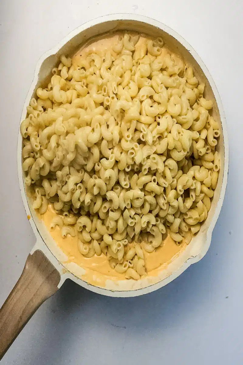 adding pasta to cheese sauce