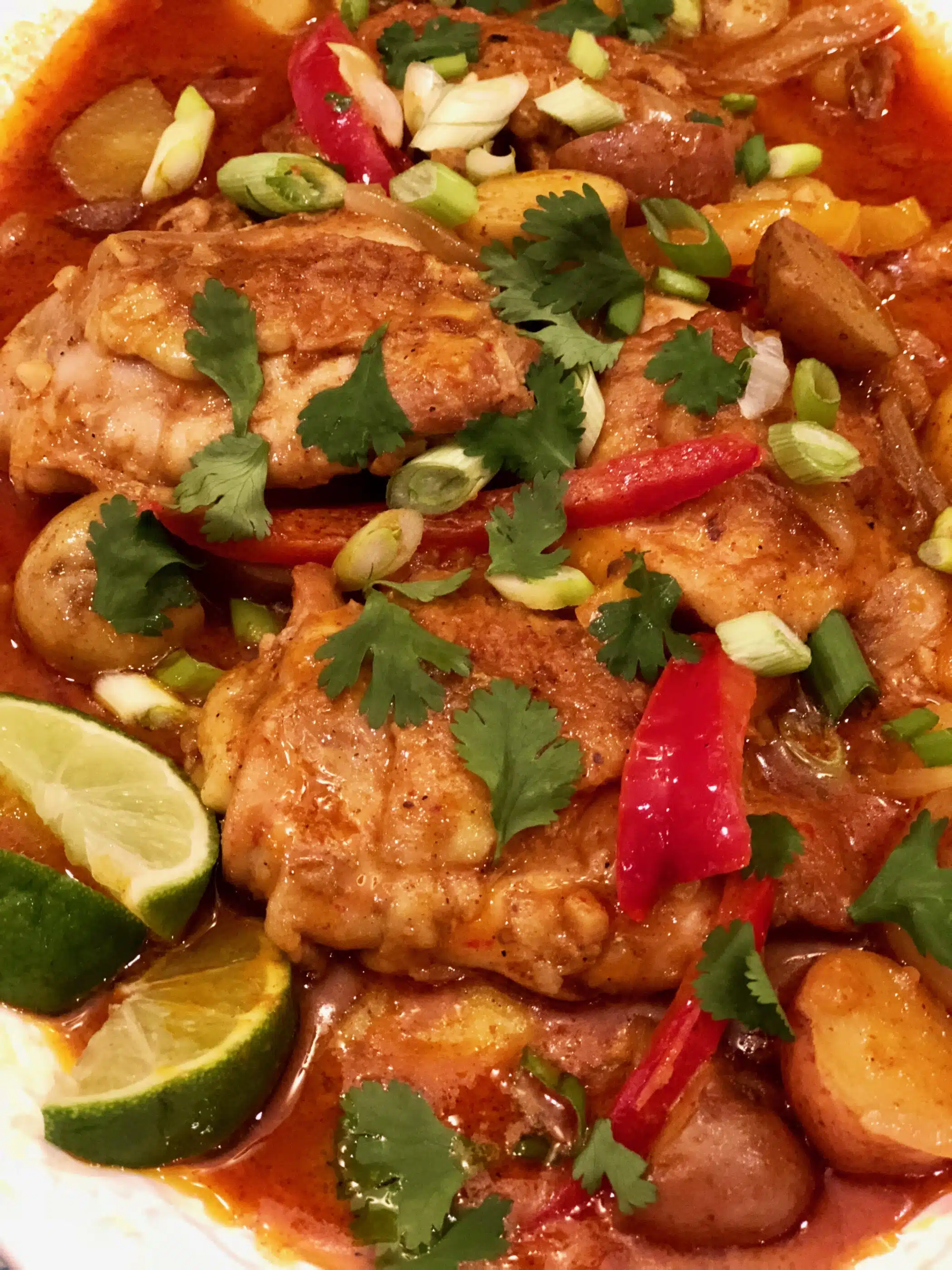 close up of curry chicken with potatoes
