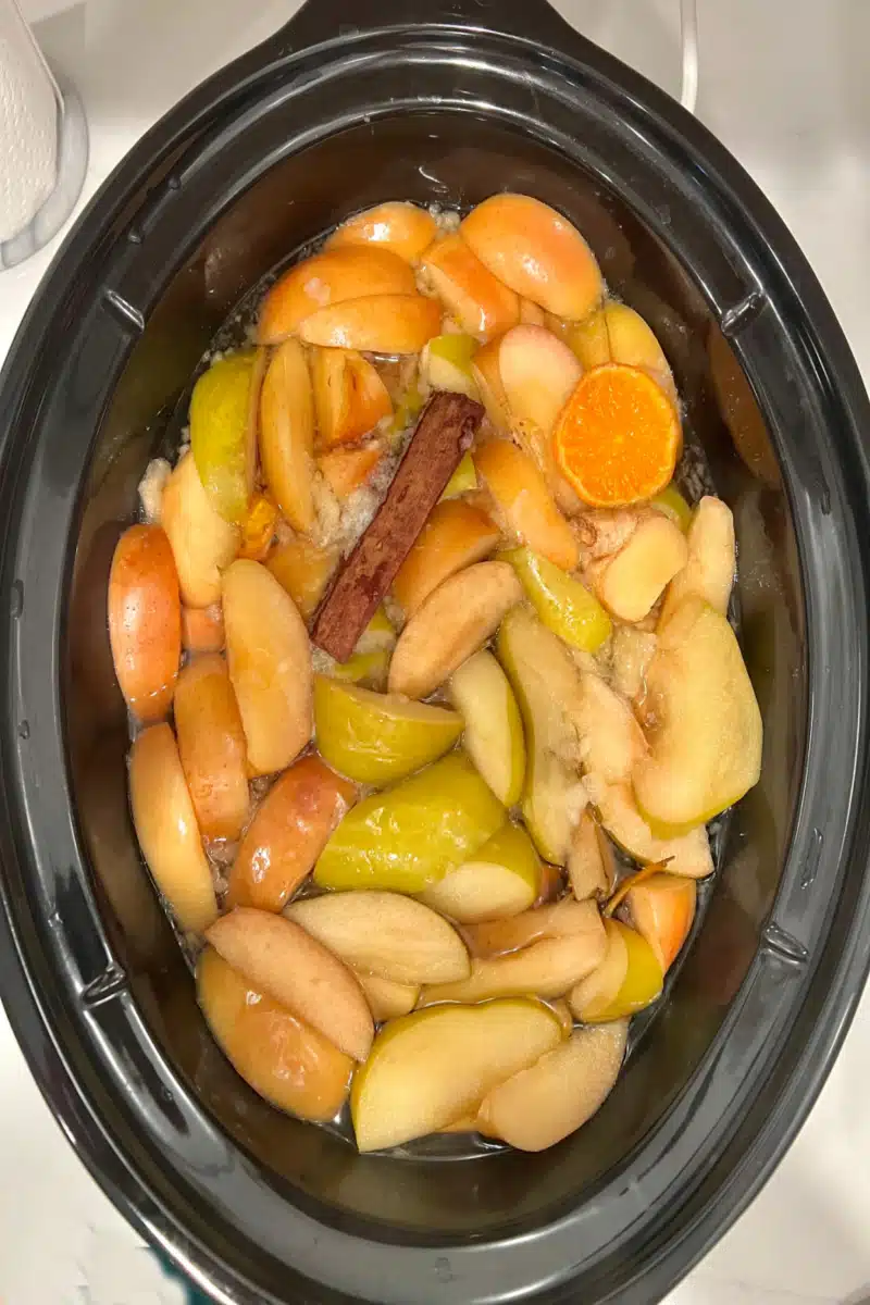 apple cider ingredients after cooking in the corckpot